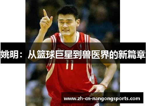 姚明：从篮球巨星到兽医界的新篇章