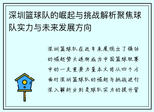 深圳篮球队的崛起与挑战解析聚焦球队实力与未来发展方向